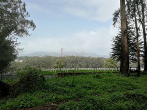 San Francisco Golden Gate Bridge & Alcatraz